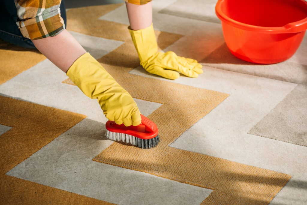 cropped image of woman cleaning carpet at home
